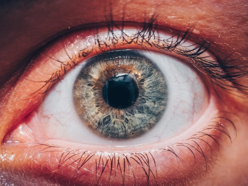 Menina dos Olhos de Deus