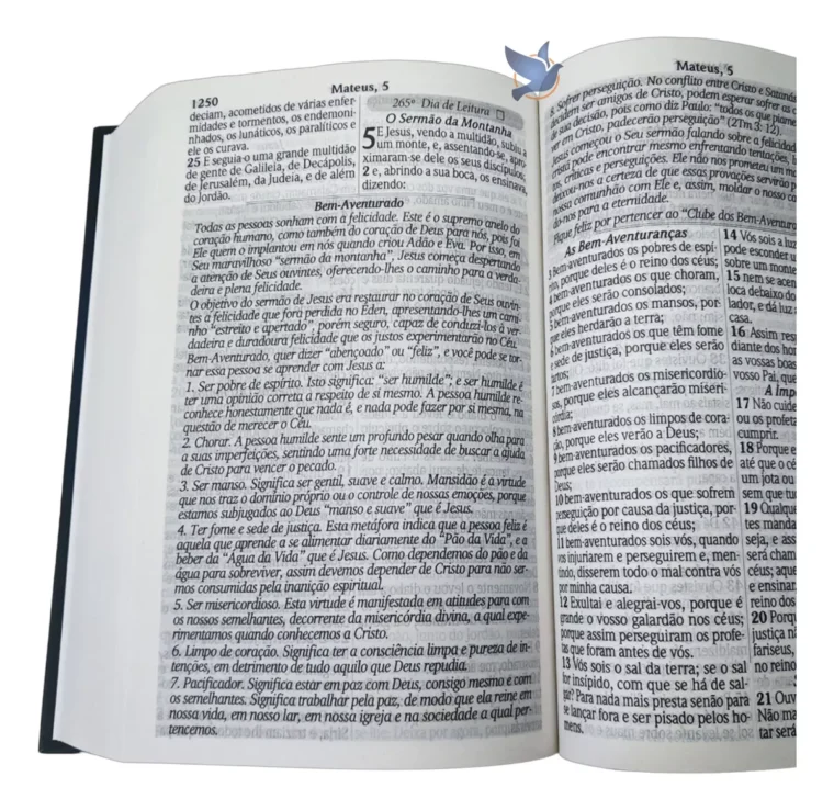 Bíblia com 365 Reflexões e Plano de Leitura em um Ano - Imagem 2