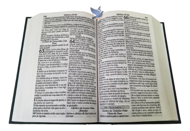 Bíblia com 365 Reflexões e Plano de Leitura em um Ano - Imagem 3