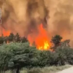 Israel investiga uma série de incêndios florestais que atingiram diversas regiões do país e já tratam o caso como possível ato de terrorismo. Foto: Captura de tela/Instagram/jewishbreakingnews