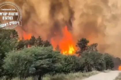 Israel investiga uma série de incêndios florestais que atingiram diversas regiões do país e já tratam o caso como possível ato de terrorismo. Foto: Captura de tela/Instagram/jewishbreakingnews