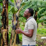 Evangelista é assassinado por extremistas islâmicos após levar muçulmanos a Jesus em Uganda, gerando alerta sobre perseguição religiosa. Foto: Representativa/Pexels.