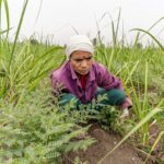 Crise alimentar atinge cristãos em Cuba, que enfrentam escassez extrema, inflação e perseguição, mantendo a fé e solidariedade como sustento. Foto: Representativa/Unsplash.