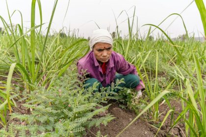 Crise alimentar atinge cristãos em Cuba, que enfrentam escassez extrema, inflação e perseguição, mantendo a fé e solidariedade como sustento. Foto: Representativa/Unsplash.