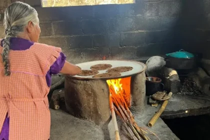 Em uma comunidade indígena no México, Martina*, pastora de ovelhas, entregou sua vida a Cristo após compreender a parábola da ovelha perdida. Foto: Reprodução/IMB