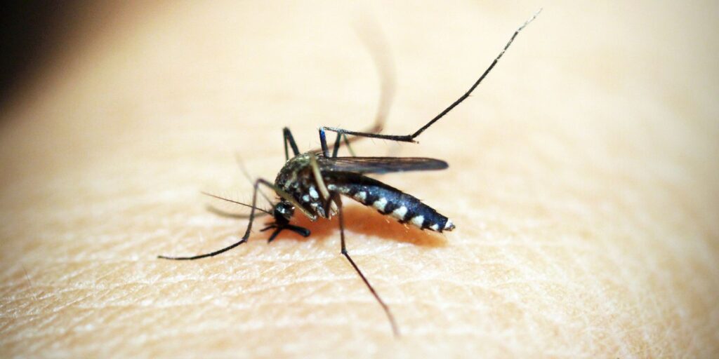 Dengue e chikungunya: epidemia já custa R$ 1,2 bilhão à saúde pública