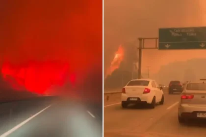 Incêndios florestais no Chile deixam rastro de destruição com 19 mortos e milhares de desabrigados: ''Estamos de coração partido''. Foto: Reprodução/Instagram/Luis Martínez