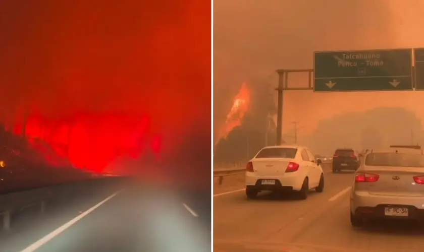 Incêndios florestais no Chile deixam rastro de destruição com 19 mortos e milhares de desabrigados: ''Estamos de coração partido''. Foto: Reprodução/Instagram/Luis Martínez