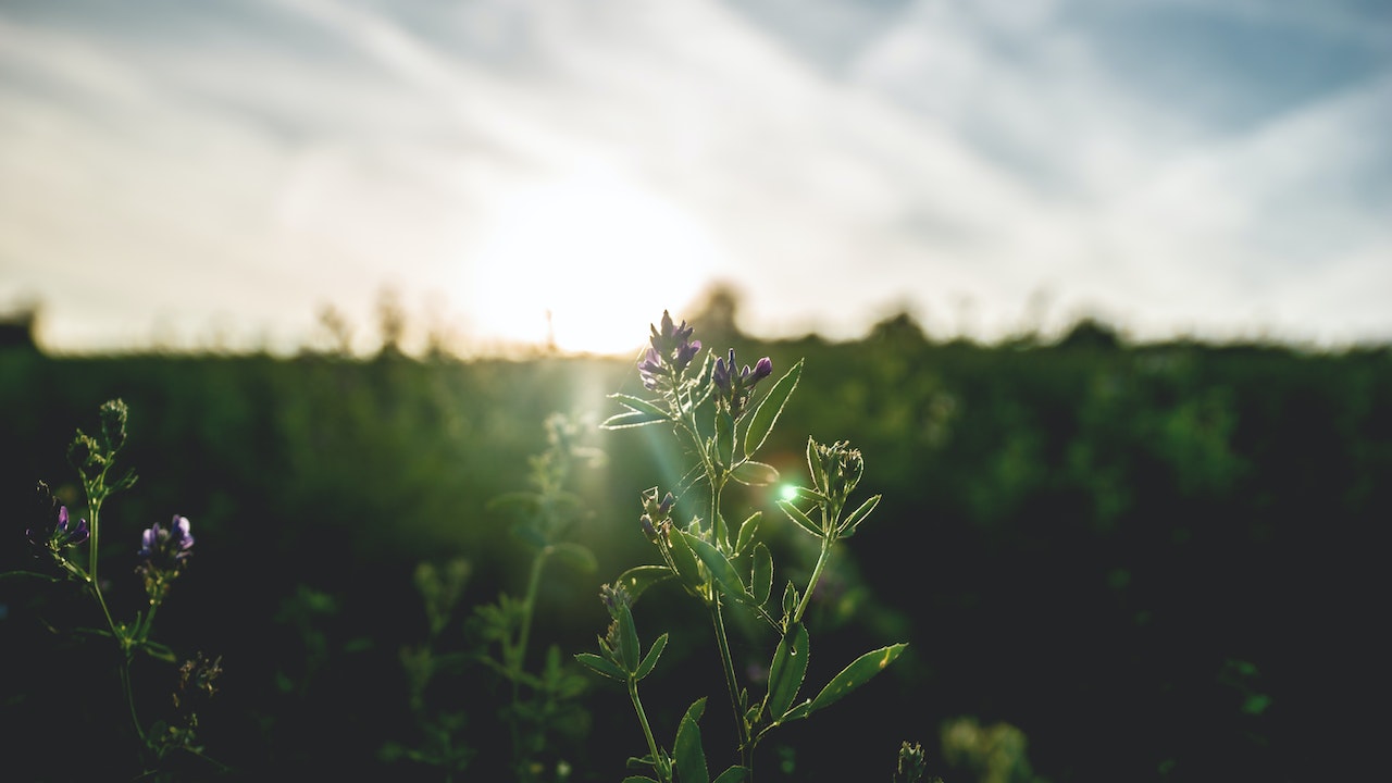 Salmo 56:3 – O Que Fazer Quando o Medo Chega?