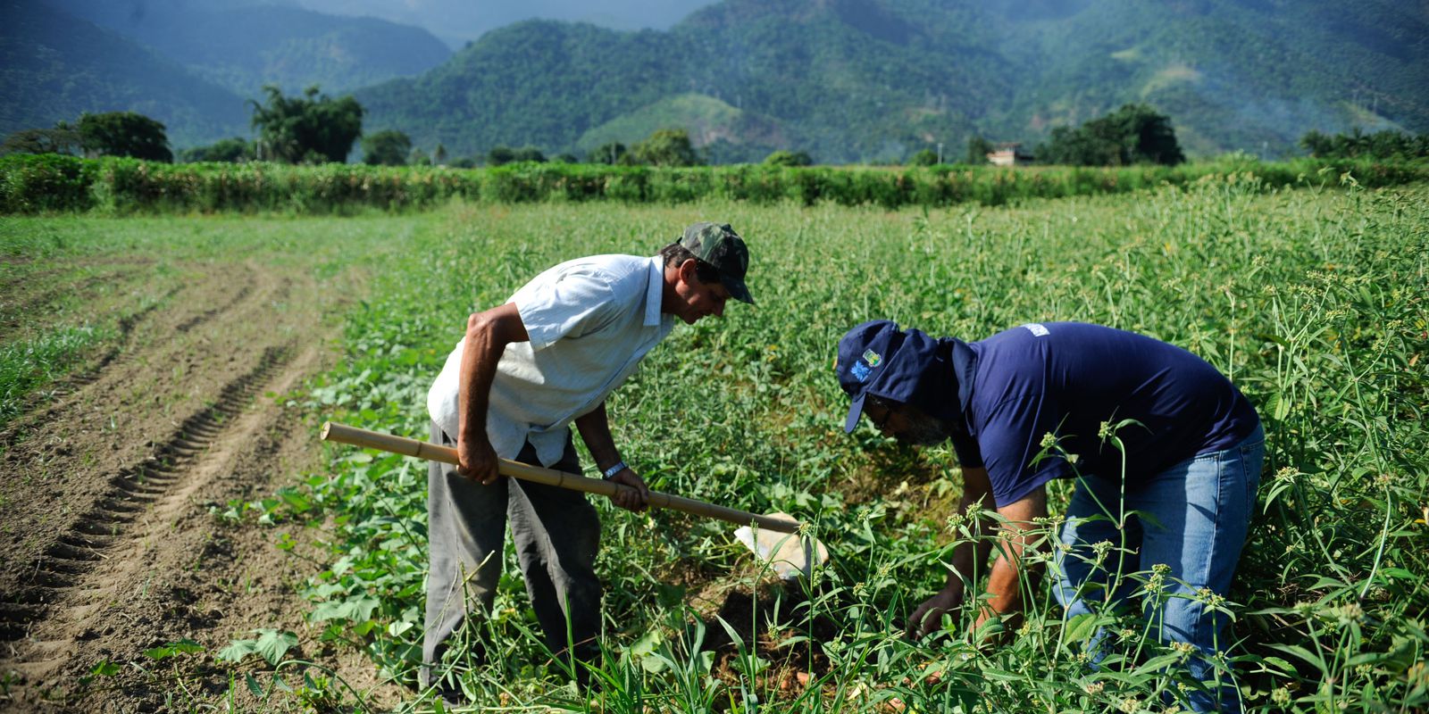 Agricultura familiar ocupa a 8ª posição entre os maiores produtores mundiais de alimentos