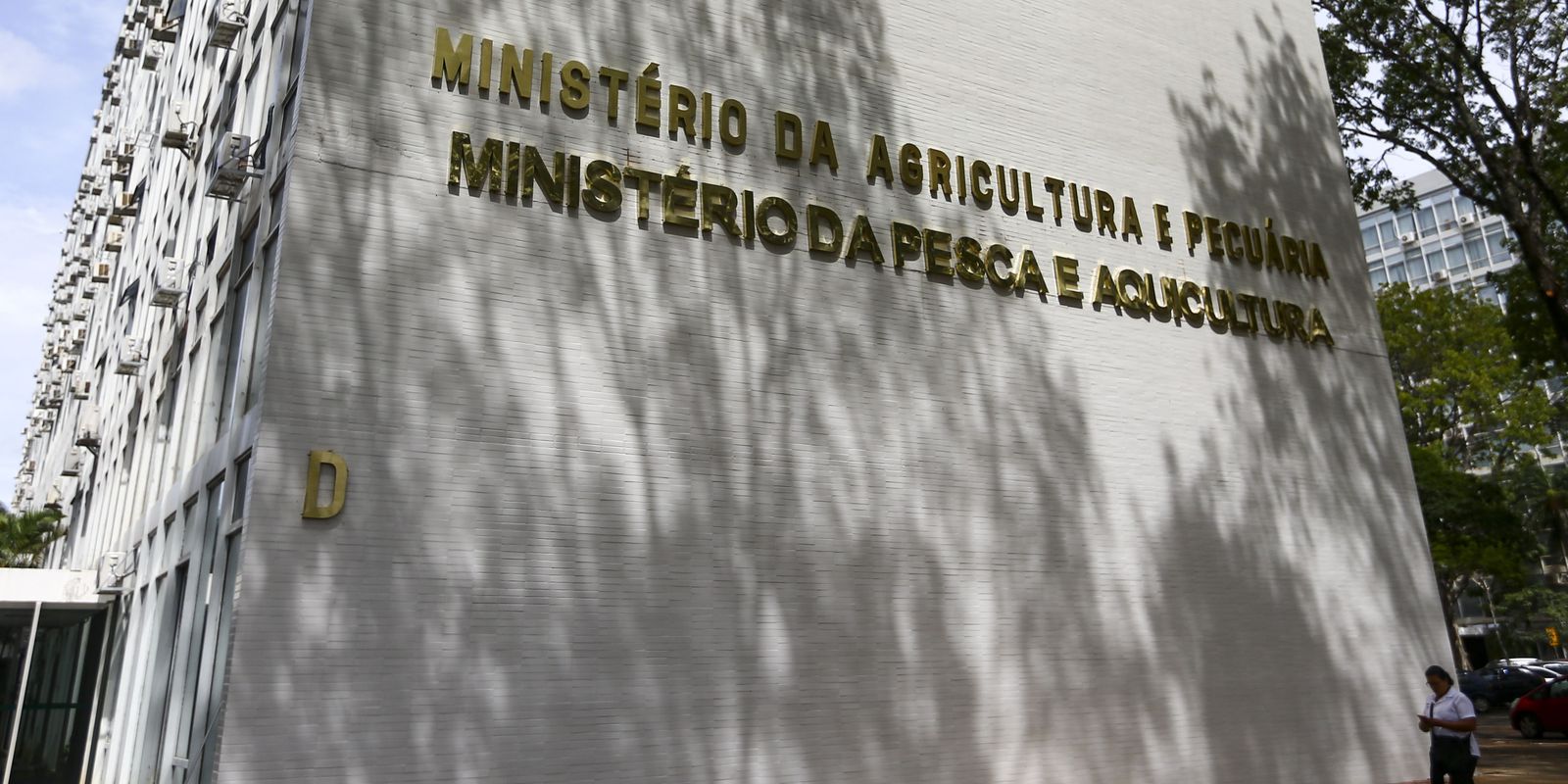 Governo solicita que estados decretem emergência zoossanitária