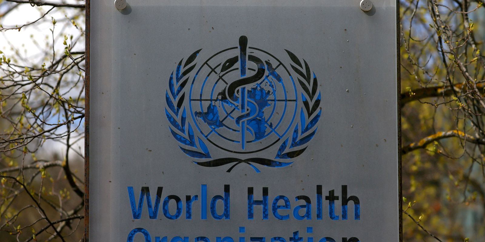 Organização Mundial da Saúde busca aprimorar o combate à hepatite no Dia Mundial da Hepatite