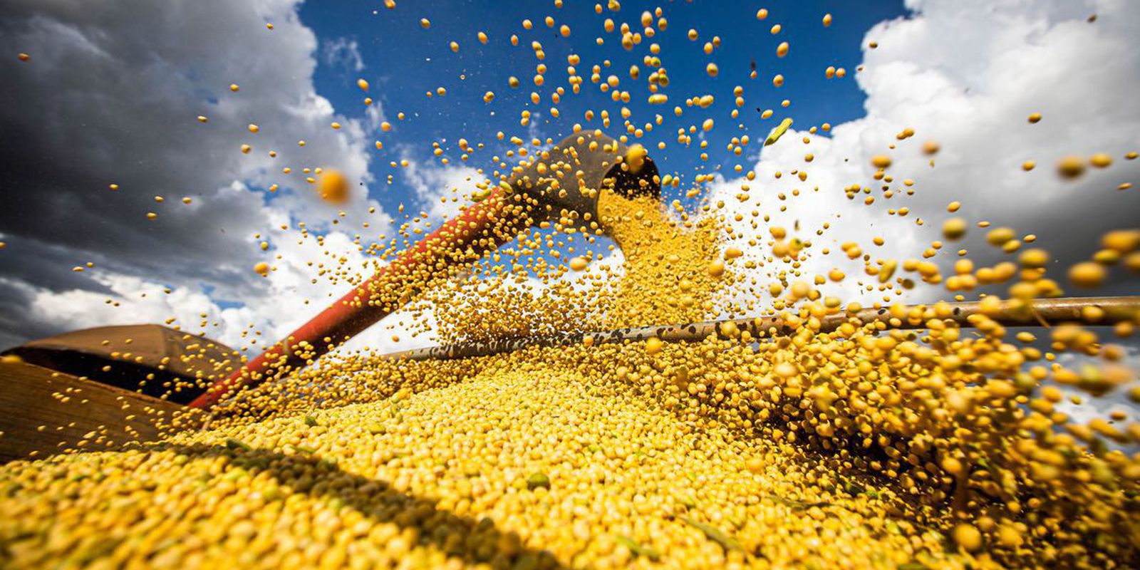 Produção de grãos atingirá 390 milhões de toneladas em uma década.