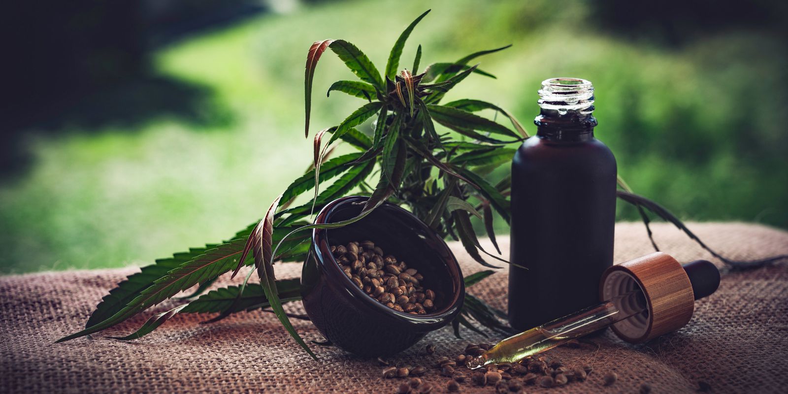STJ concede autorização para três pacientes cultivarem cannabis para fins medicinais