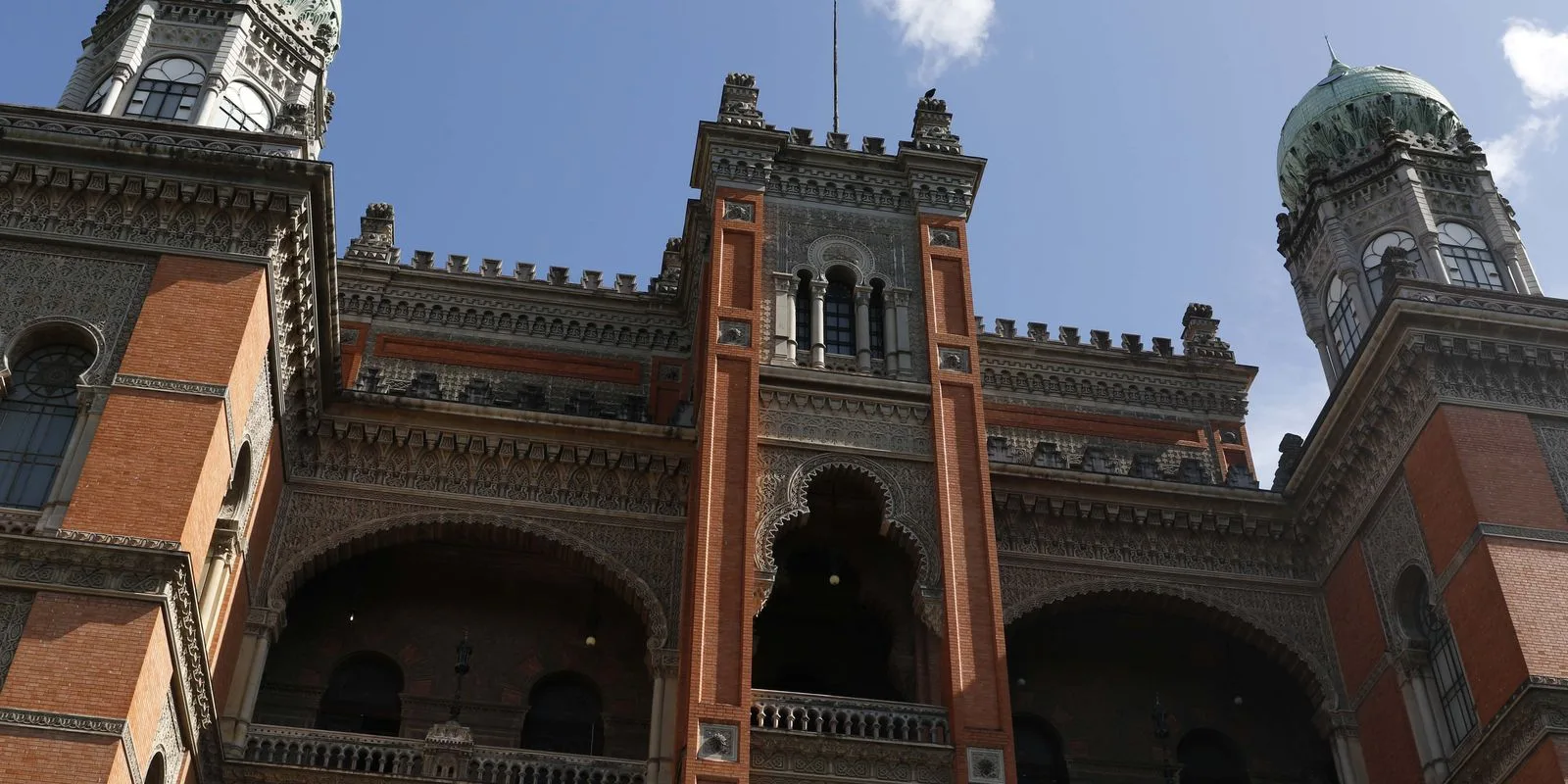 Fiocruz afirma que incidência de rinovírus permanece elevada em crianças