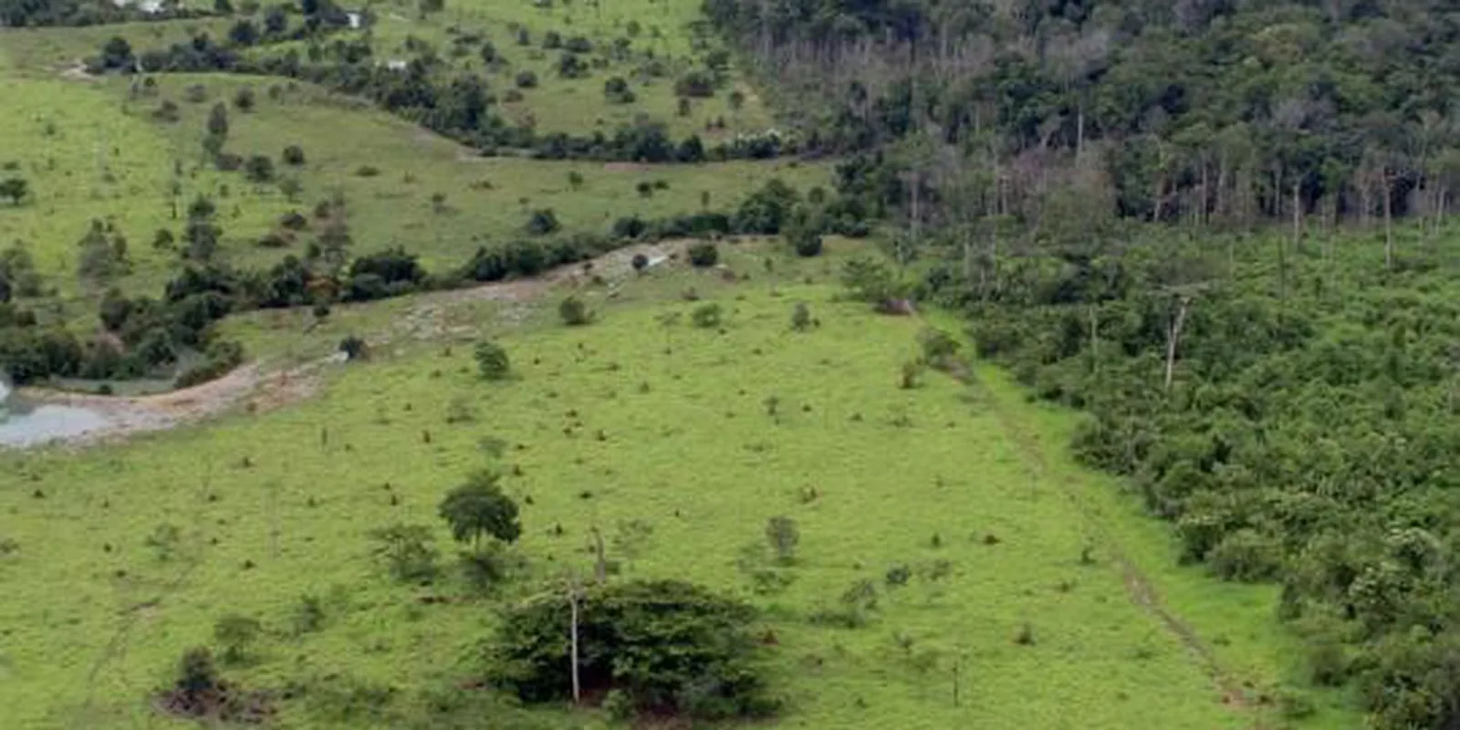 Iniciado o prazo para submissão da Declaração do Imposto sobre a Propriedade Territorial Rural