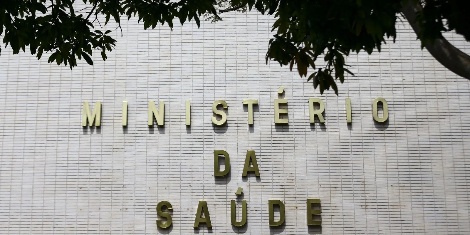 No primeiro semestre deste ano, foram realizados 206 transplantes de coração no Brasil.