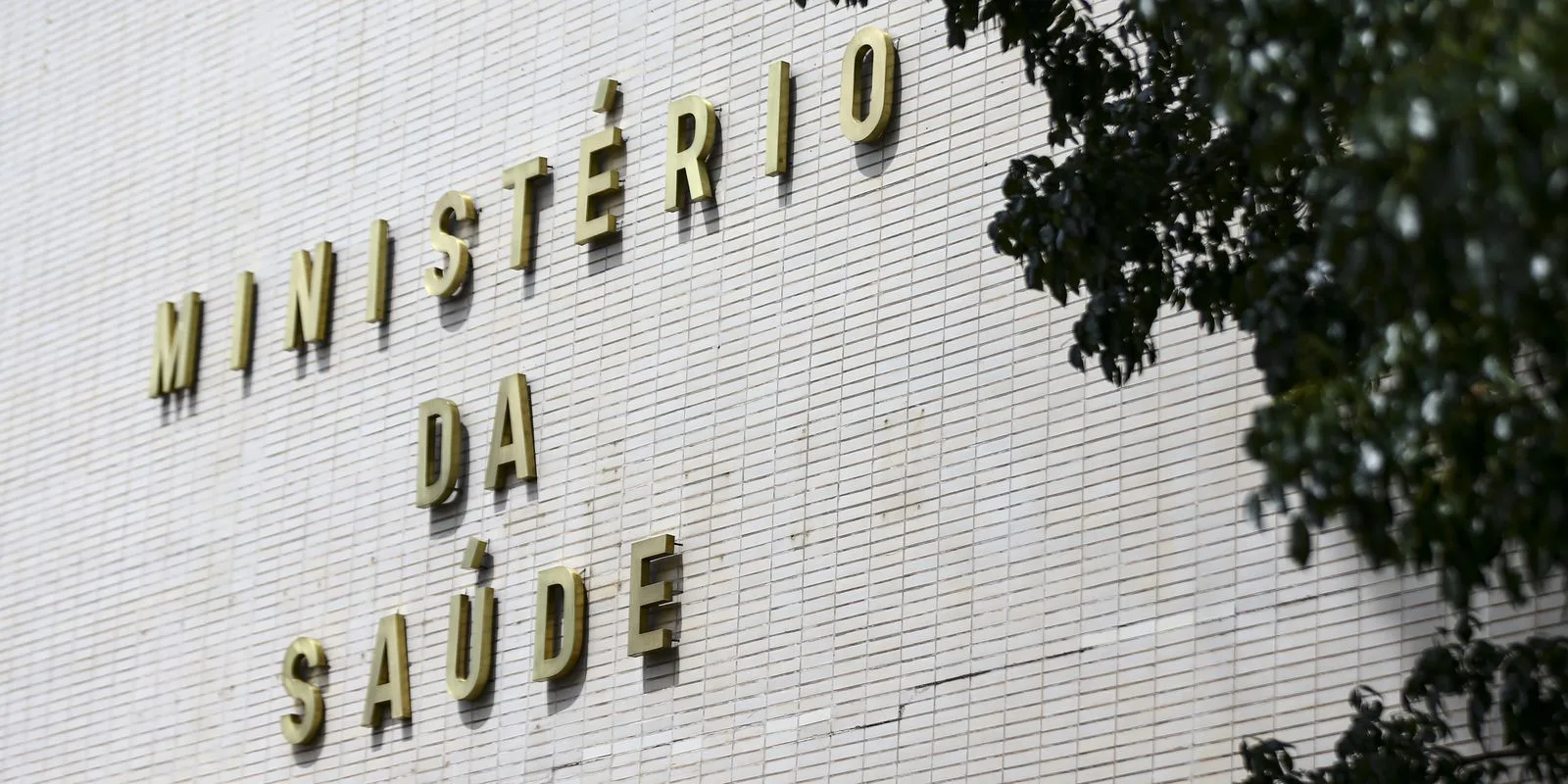 Ministério da Saúde recomenda que estados e municípios façam vigilância local dos casos de Mpox