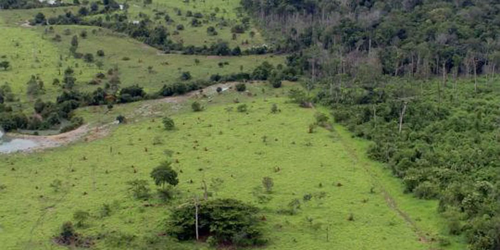 Prazo final para enviar a Declaração do Imposto Territorial Rural é nesta sexta-feira