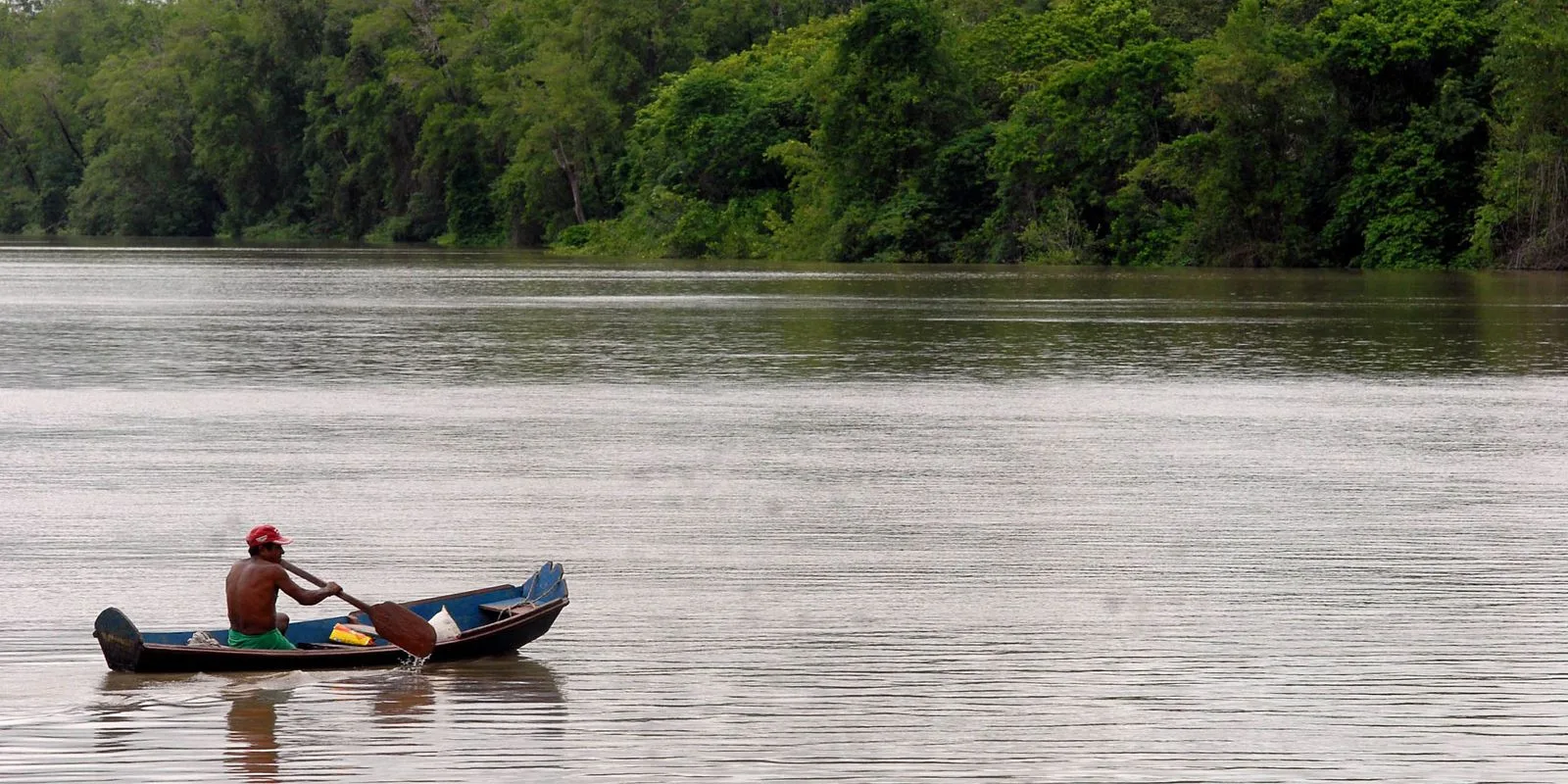 Recursos para projetos de bioeconomia serão destinados à Amazônia Legal