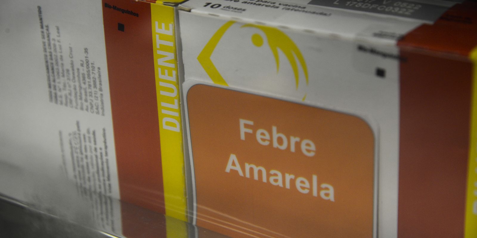 Brasil irá compartilhar tecnologia da vacina contra febre amarela com a Argentina