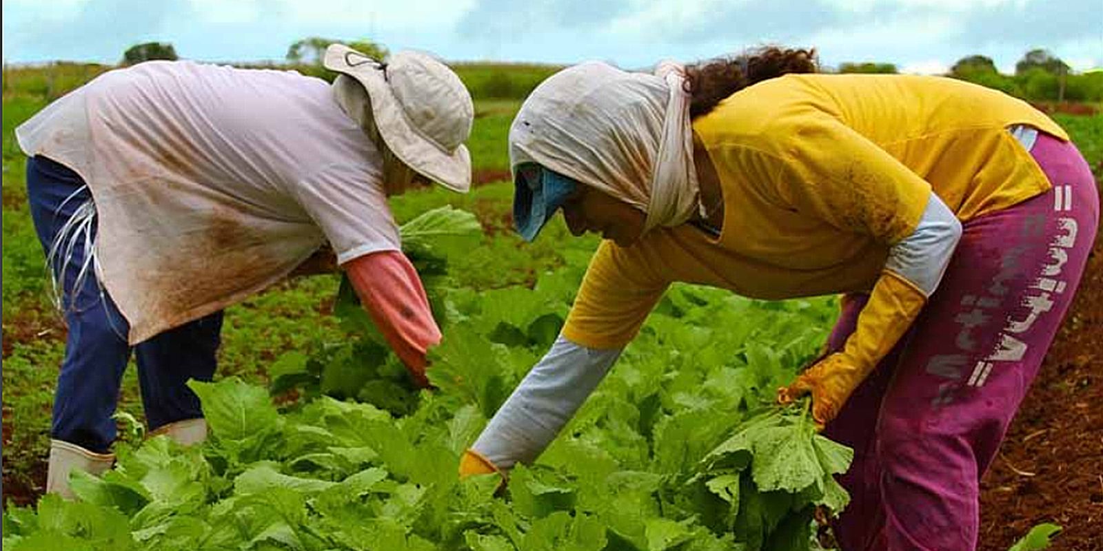 Embrapa dá início à construção de nova unidade de pesquisa em Alagoas