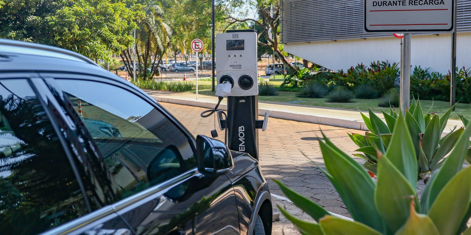 Imposto de Importação para carros elétricos voltará a ser cobrado a partir de 2024