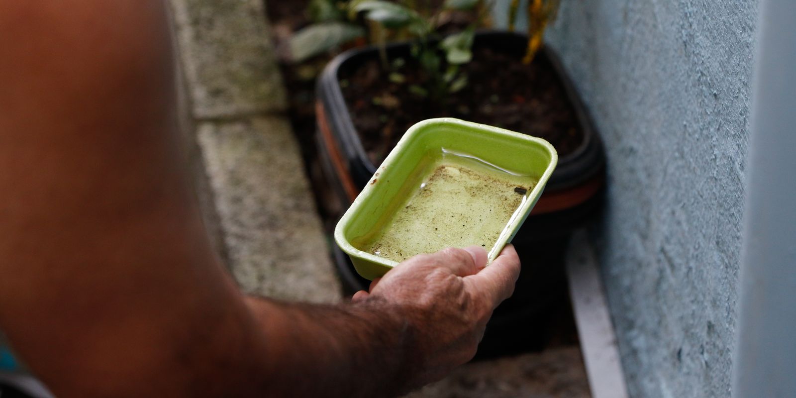 Estratégias de combate à dengue são complementadas pela vacina, afirma Ministério da Saúde