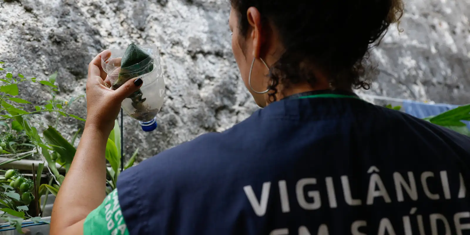 Minas Gerais decreta estado de emergência devido à Dengue e chikungunya