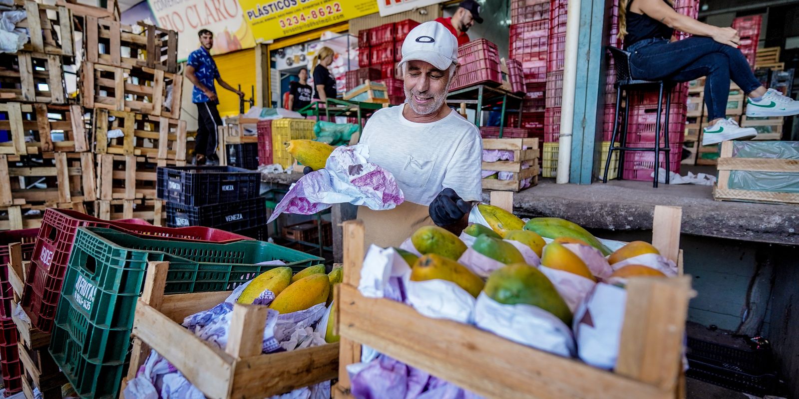Preços da alface caem em dezembro, segundo Conab