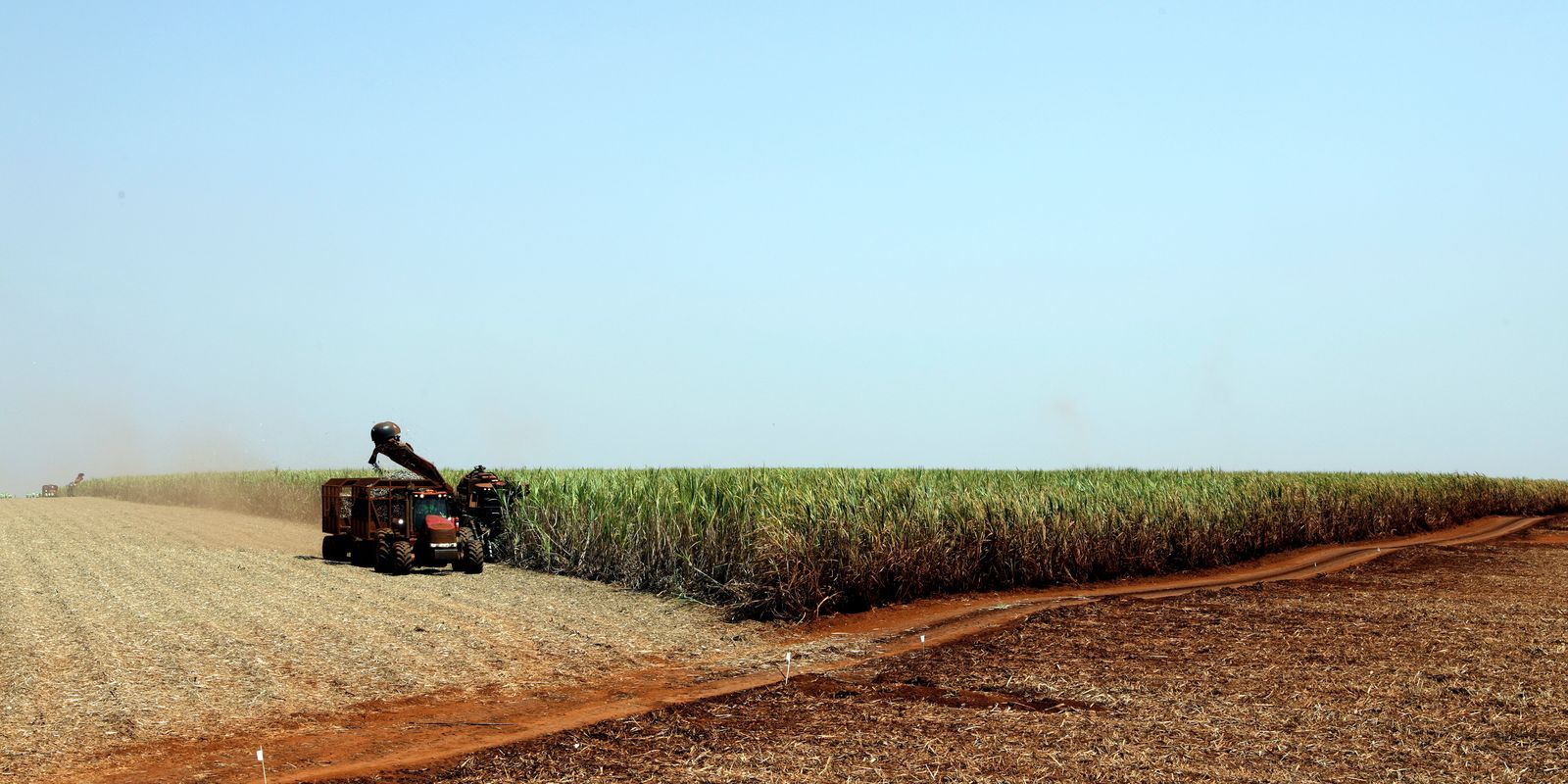Projeção da safra de grãos para 2023/24 é revisada para 306,4 milhões de toneladas