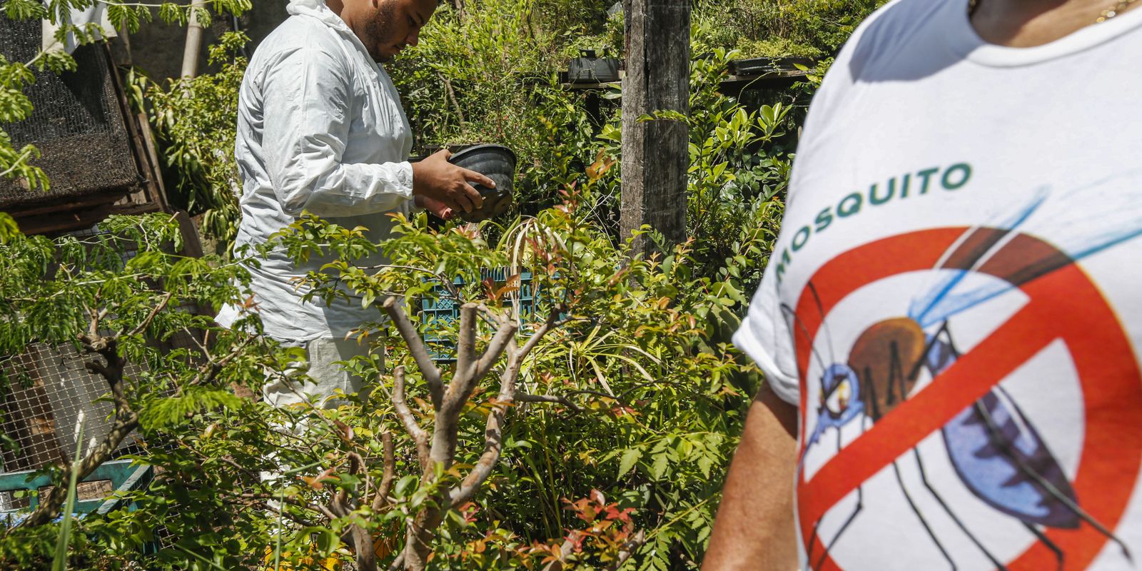 Brasil ultrapassa a marca de 2 milhões de casos de dengue