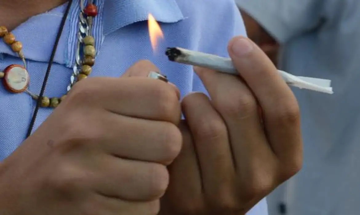 Mesmo em pequenas quantidades, maconha pode ser nociva para saúde e problema de segurança pública