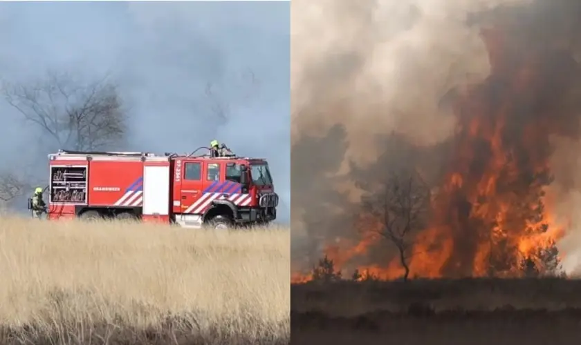 Evangelista testemunha milagre ao ver vento mudar e incêndio florestal se afastar de sua casa após oração na Holanda. Foto: Reprodução/YouTube/Omroep Gelderland