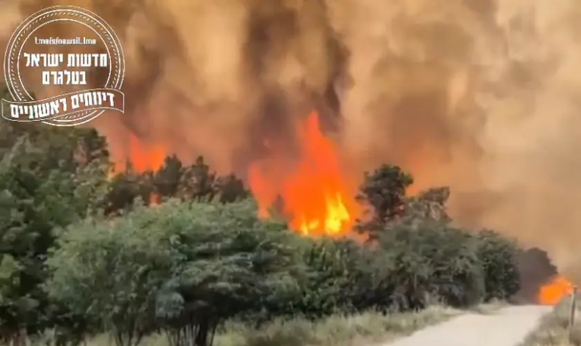 Israel investiga uma série de incêndios florestais que atingiram diversas regiões do país e já tratam o caso como possível ato de terrorismo. Foto: Captura de tela/Instagram/jewishbreakingnews