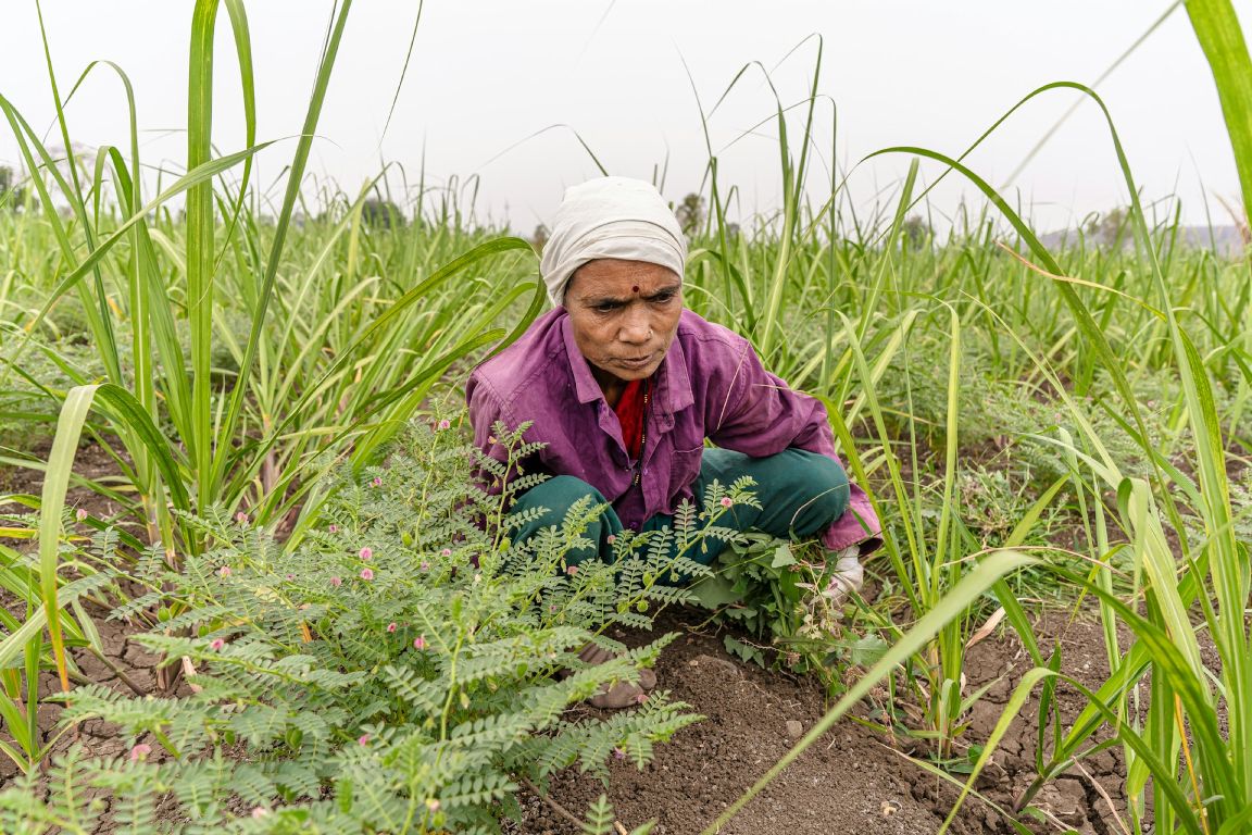 Crise alimentar atinge cristãos em Cuba, que enfrentam escassez extrema, inflação e perseguição, mantendo a fé e solidariedade como sustento. Foto: Representativa/Unsplash.