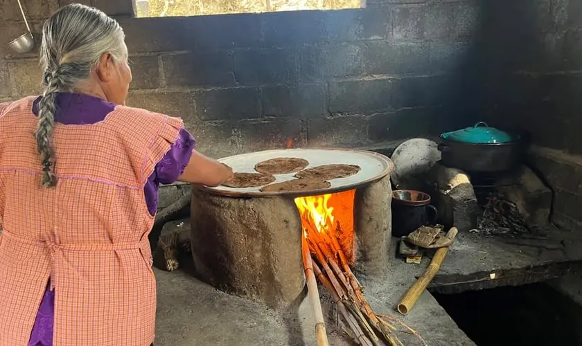 Em uma comunidade indígena no México, Martina*, pastora de ovelhas, entregou sua vida a Cristo após compreender a parábola da ovelha perdida. Foto: Reprodução/IMB