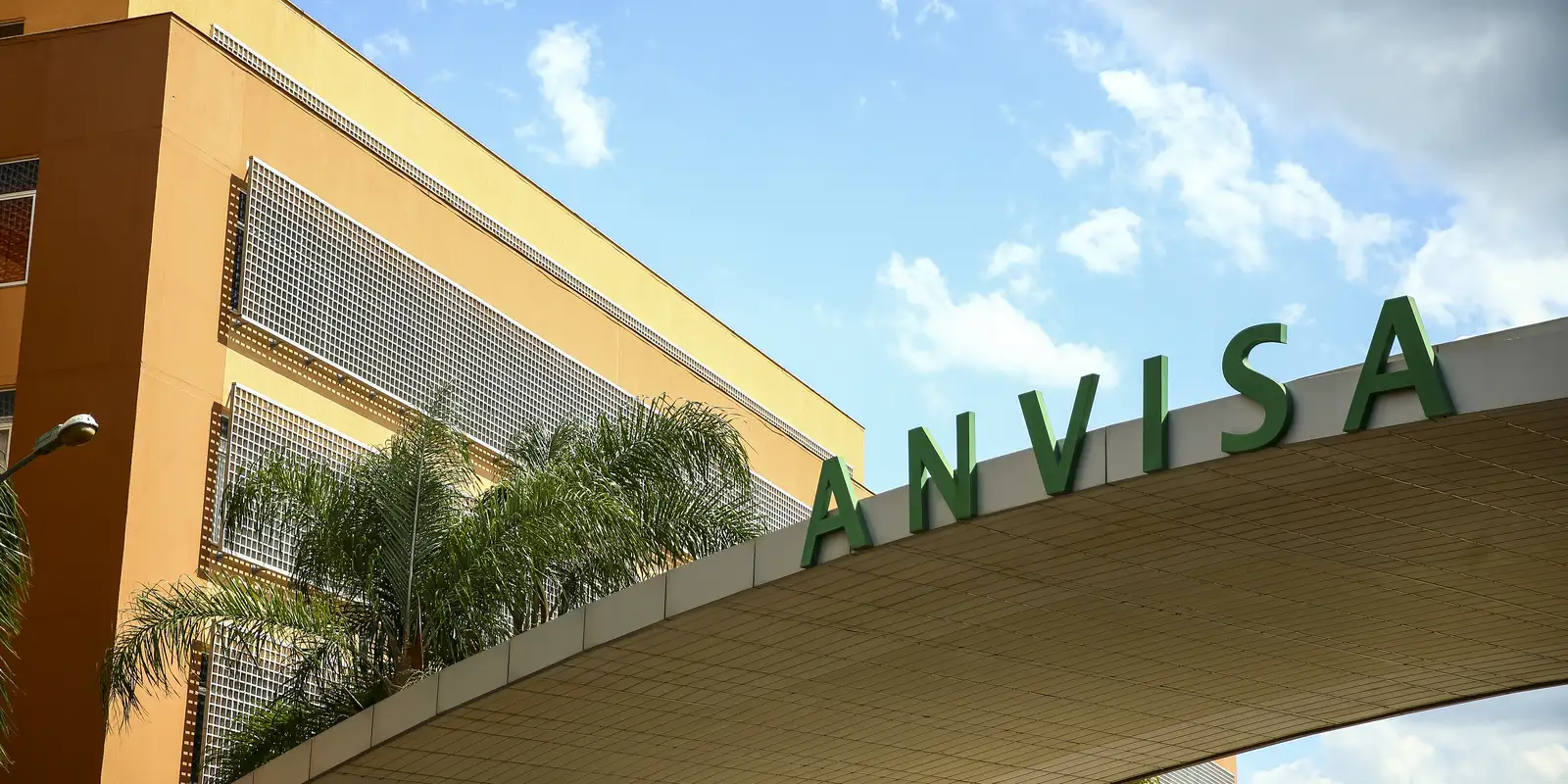 Anvisa veta anel que promete medir glicose sem agulha; saiba o motivo