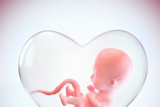 Aborto no Brasil / Feto dentro da forma de coração do útero, amor do conceito de mãe, ilustração 3D medicamente precisa de um feto na semana com traçado de recorte. Foto Ilustrativa