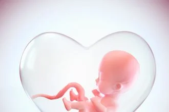 Aborto no Brasil / Feto dentro da forma de coração do útero, amor do conceito de mãe, ilustração 3D medicamente precisa de um feto na semana com traçado de recorte. Foto Ilustrativa