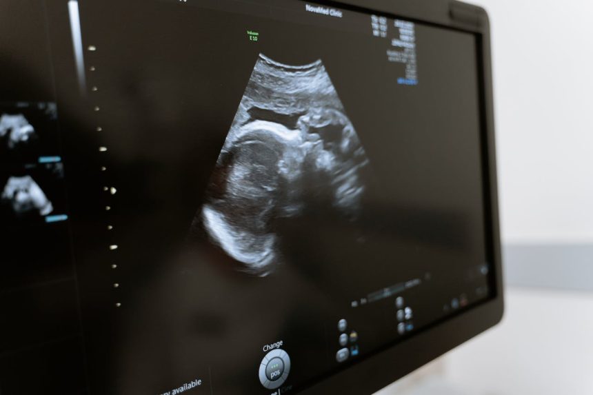 Nova lei em Maceió exige que mulheres visualizem imagens do feto e se informem sobre riscos antes de realizar abortos legalizados. Foto: Representativa.
