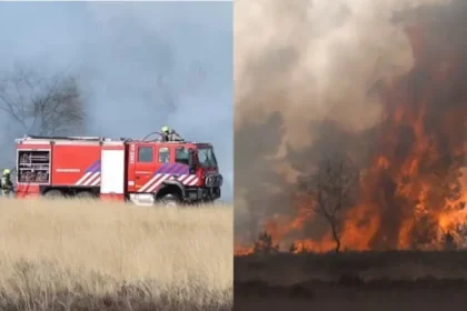 Evangelista testemunha milagre ao ver vento mudar e incêndio florestal se afastar de sua casa após oração na Holanda. Foto: Reprodução/YouTube/Omroep Gelderland
