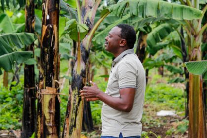 Evangelista é assassinado por extremistas islâmicos após levar muçulmanos a Jesus em Uganda, gerando alerta sobre perseguição religiosa. Foto: Representativa/Pexels.