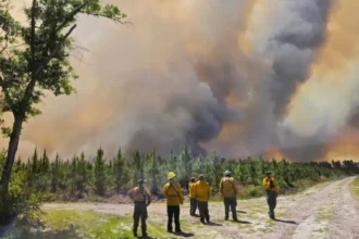 Igrejas nos EUA relatam resposta de oração após chuva ajudar no combate a incêndio florestal na Geórgia, trazendo esperança em meio à crise. Foto: Reprodução/Baptist Press