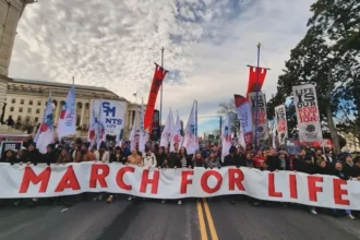 Doze grupos pró-vida da Holanda divulgaram uma carta conjunta direcionada às igrejas protestantes e católicas do país. Foto: Instagram/marchforlife